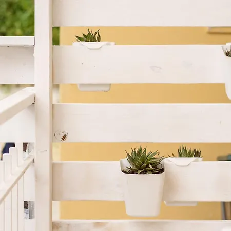 House - Sea Front- Premium