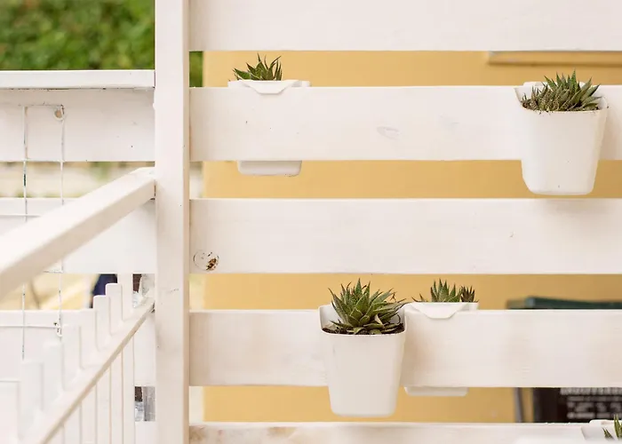 House - Sea Front- Premium